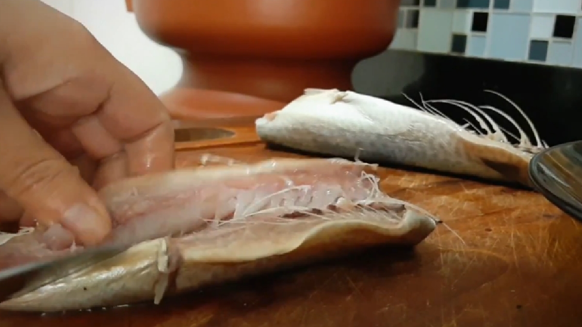 Cada 100g do peixe oferece entre 20g e 22g de proteína de fácil digestão, sendo uma excelente alternativa às carnes vermelhas, especialmente para idosos.