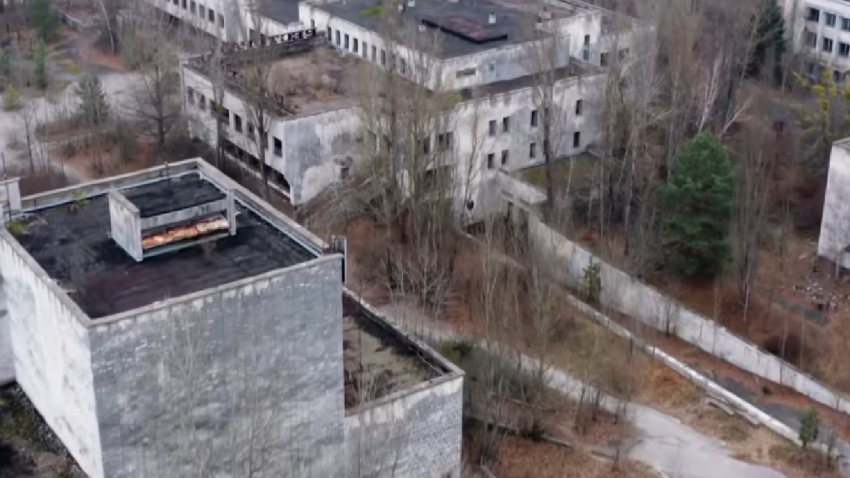 Em 1986, após o desastre nuclear em Chernobyl, na Ucrânia, um grupo de cientistas também sugeriu a plantação de girassóis para ajudar na limpeza de resíduos radioativos do meio ambiente - (Reprodução/YouTube)