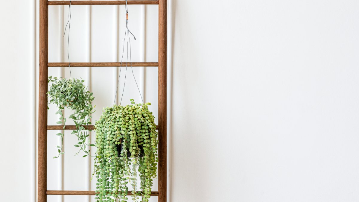 5. Apoio para plantas na varanda (Fotos: Freepik)