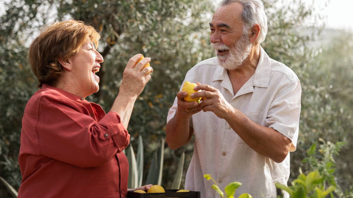 Pesquisa de três anos acompanhou idosos e encontrou associação entre queijo e menor risco de demência (Foto: Freepik)
