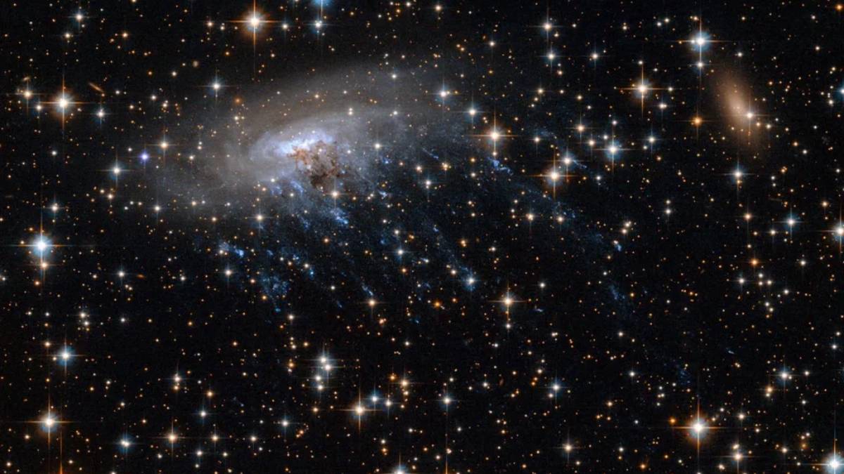 Não é uma criatura marinha, mas uma maravilha celeste. Os "tentáculos" desta galáxia são rastros de gás e poeira que dão origem a novas estrelas (Foto: NASA/ESA)