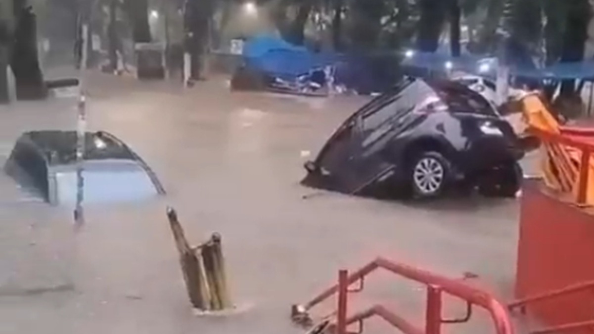 Carros boiam durante forte tempestade na cidade de São Paulo/Fotos Públicas