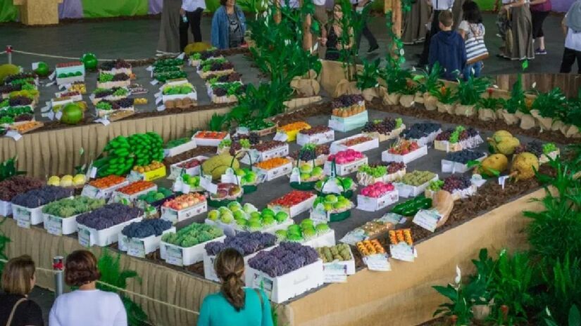 O ápice da cultura italiana acontece na Festa da Uva e do Vinho, o maior evento da cidade - (Divulgação/Prefeitura de Vinhedo)