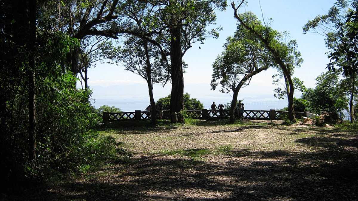 O reflorestamento teve como objetivo restaurar a Mata Atlântica destruída e proteger as nascentes que abasteciam a capital imperial (Foto: Halley Pacheco de Oliveira/Wikimedia Commons)