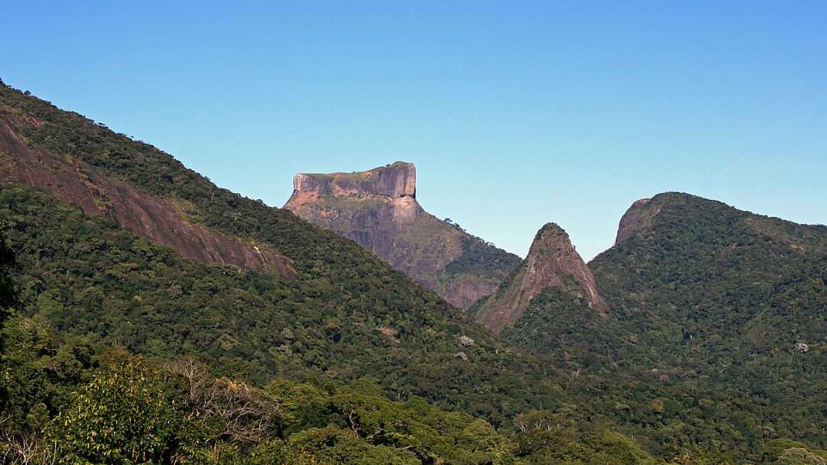 Quem caminha pela Floresta da Tijuca costuma pensar que essa enorme área natural ficou intocada enquanto a cidade do Rio de Janeiro crescia (Foto: Halley Pacheco de Oliveira/Wikimedia Commons)