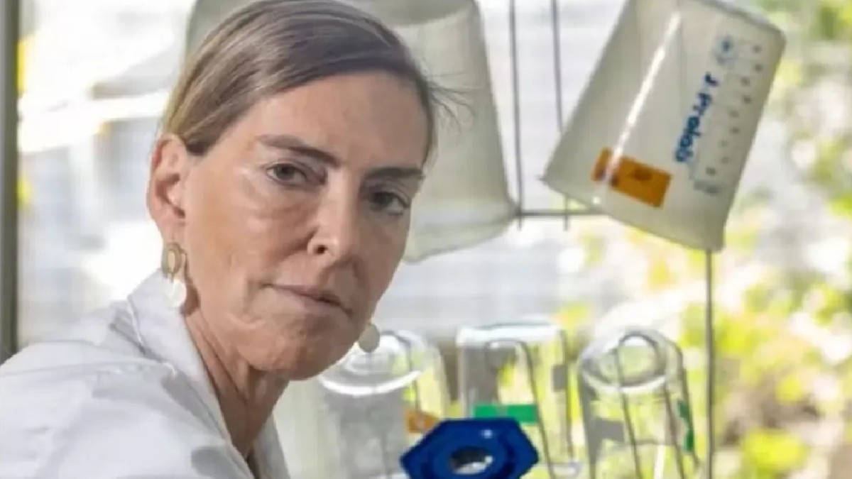 Tatiana Sampaio lidera uma pesquisa que pode ser marco zero no combate à tetraplegia, que pode concorrer ao Nobel de Medicina no futuro (Reprodução: @diferentona / Instagram)