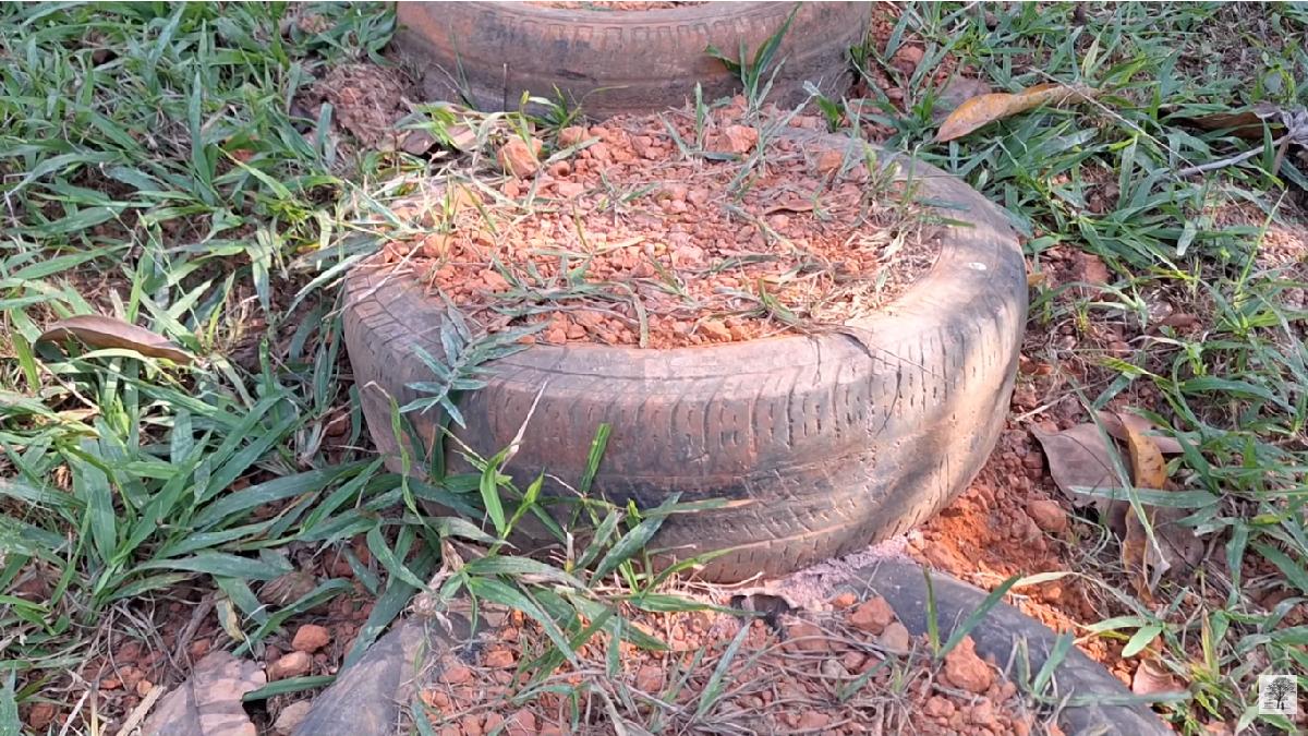 Escadarias de pneus são uma alternativa relativamente comum que resolvem dois problemas em simultâneo... (Foto: Cadin da Roça / YouTube)