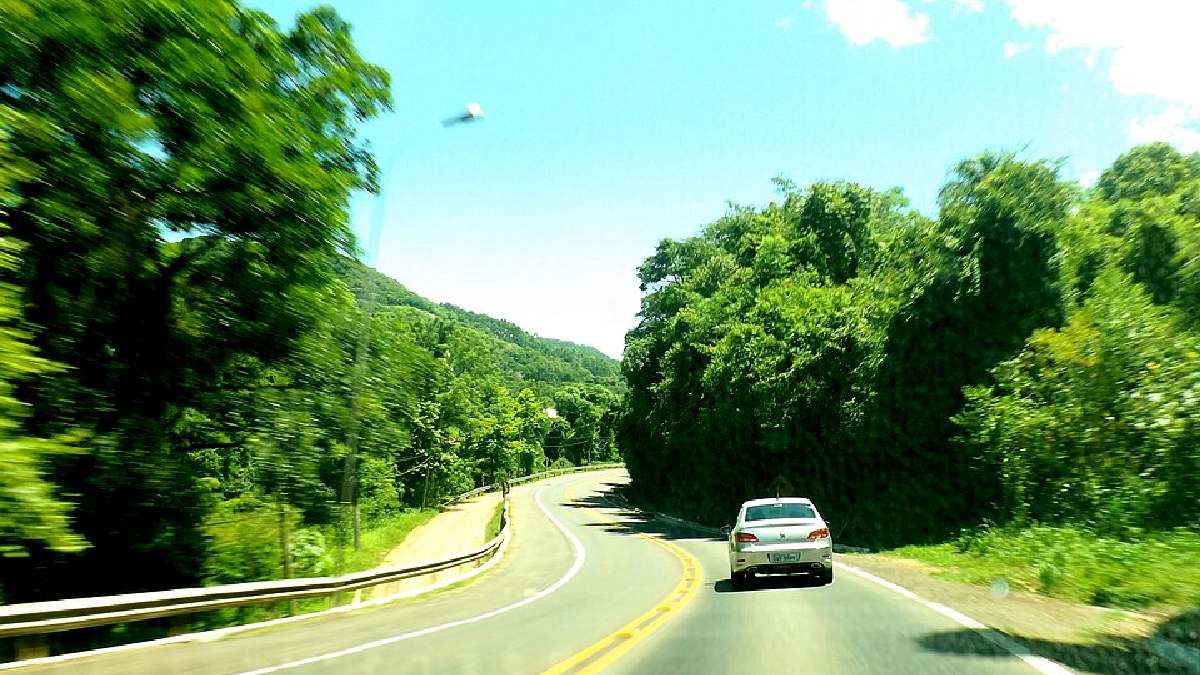 Estrada para o Morro Reuter, RS (Foto: Larissa Fraga / Wikimedia Commons)