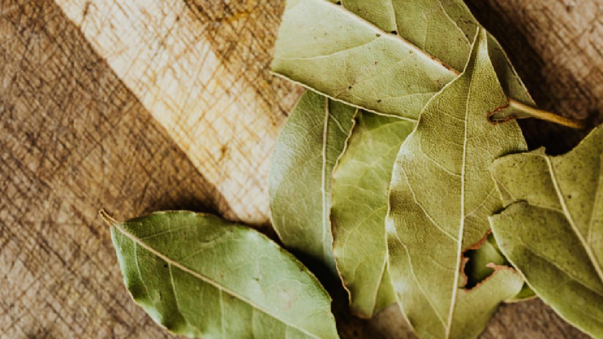 Amassar levemente a folha antes de colocar pode intensificar o aroma, sem virar pó e sem espalhar sujeira (Foto: Pixabay)