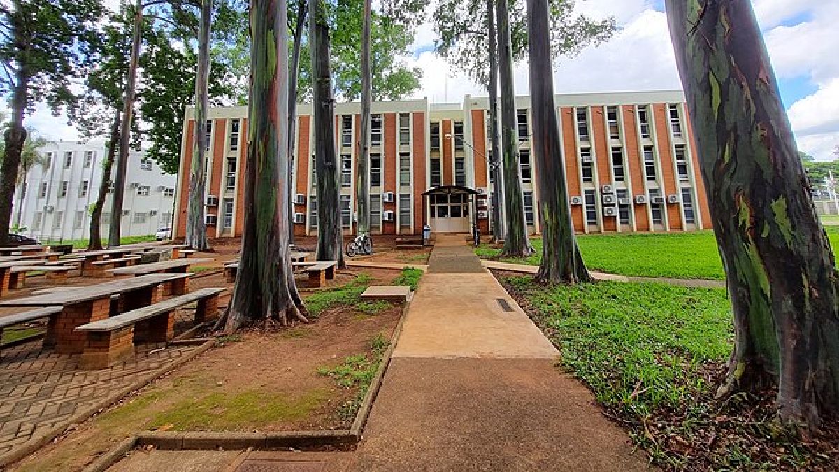 Um dos maiores destaques da cidade é a UNICAMP, uma das maiores universidades do país que acaba retroalimentando o setor industrial da cidade com mão de obra especializada (Foto: S O T 1R C / Wikimedia Commons)