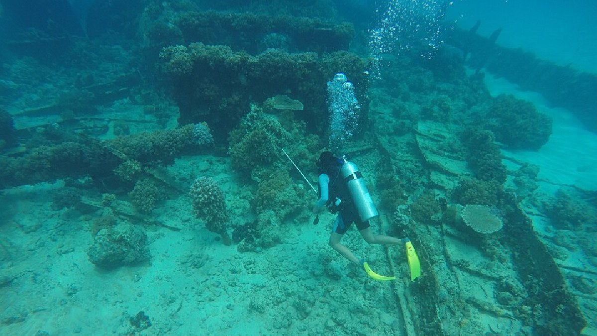 Mergulho em um sítio de arqueologia subaquática, exemplo do tipo de trabalho feito em escavações no mar (Foto: Dwi sumaiyyah makmur / Wikimedia Commons)