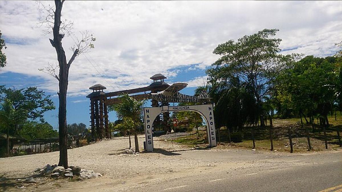 Apesar de serem selvagens, os hipopótamos são uma das principais atrações do parque temático Hacienda Nápoles, estando presentes em safaris de acesso aos turistas (Foto: Motero colombia / Wikimedia Commons)