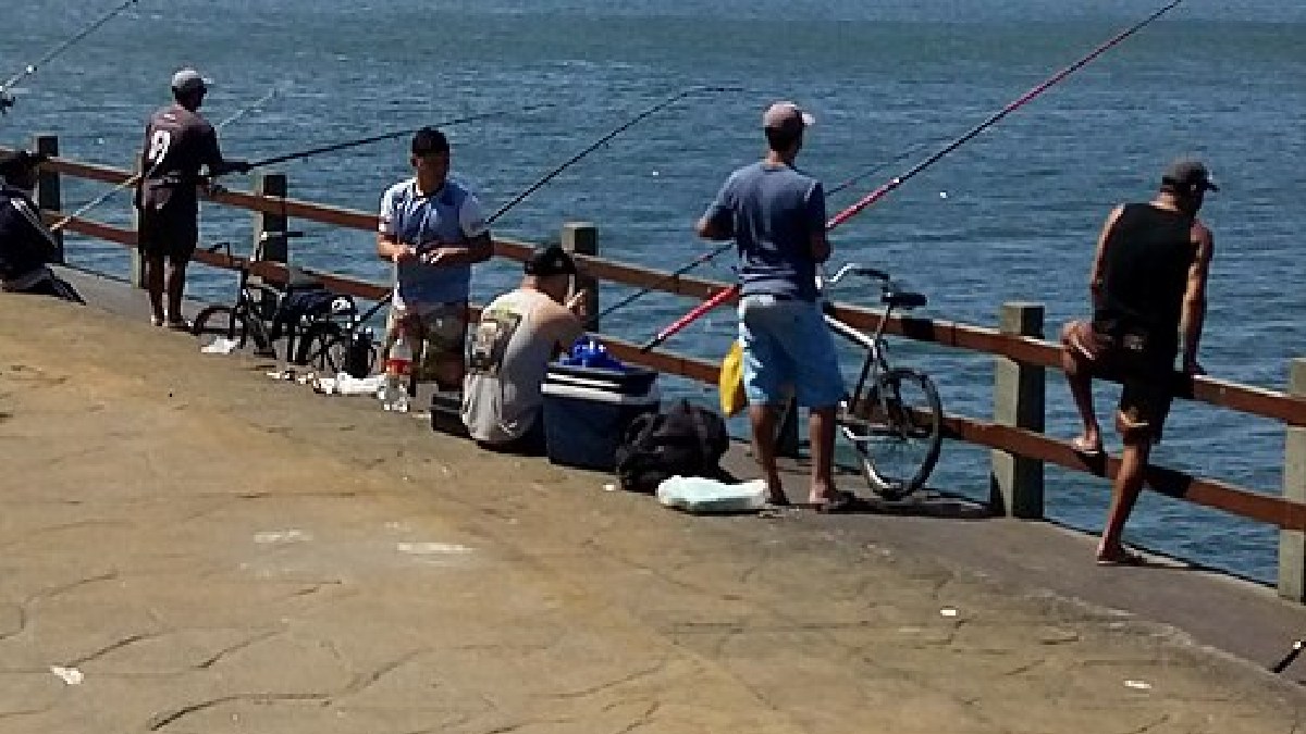 A Ilha Porchat concentra mirantes e trechos de Mata Atlântica, com vista aberta para as praias da cidade (Foto: Dupeixe / Wikimedia Commons)