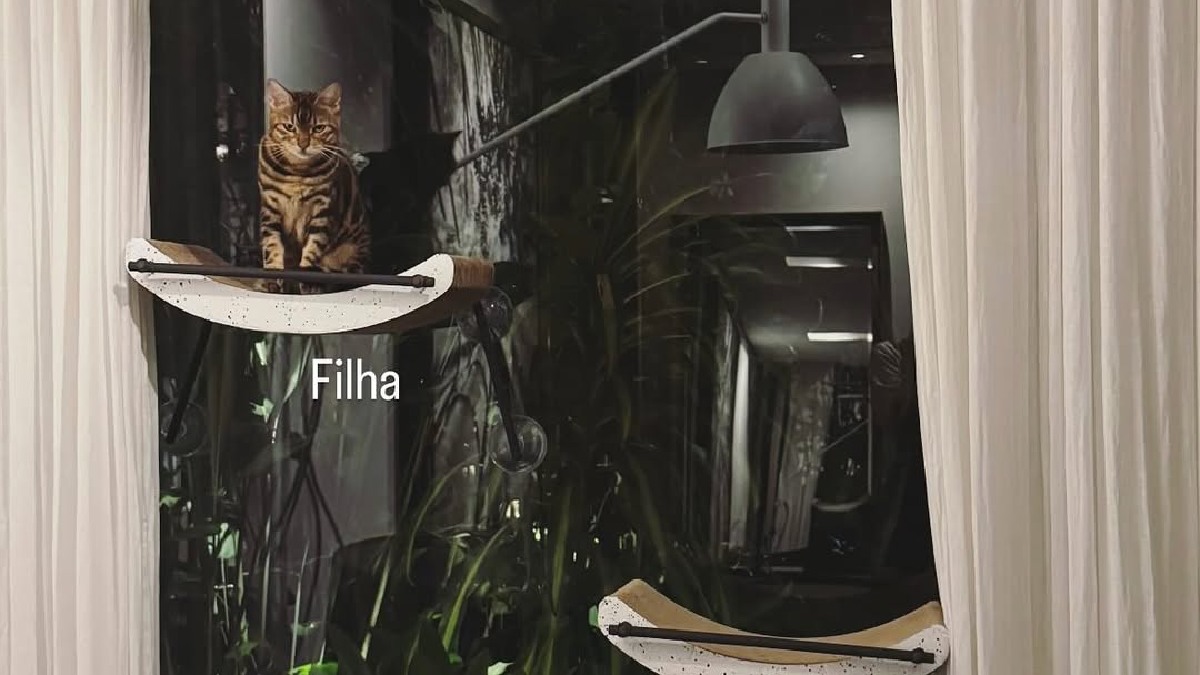 Além da própria atriz, seus animais de estimação são sempre presentes nas fotos