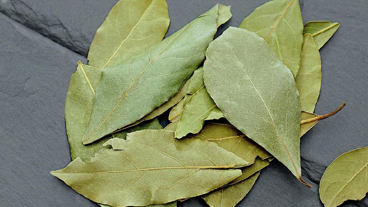 Folhas secas liberam aroma aos poucos, mas, quando ficam muito antigas, tendem a "perder o cheiro" e o efeito cai (Foto: Pixabay)