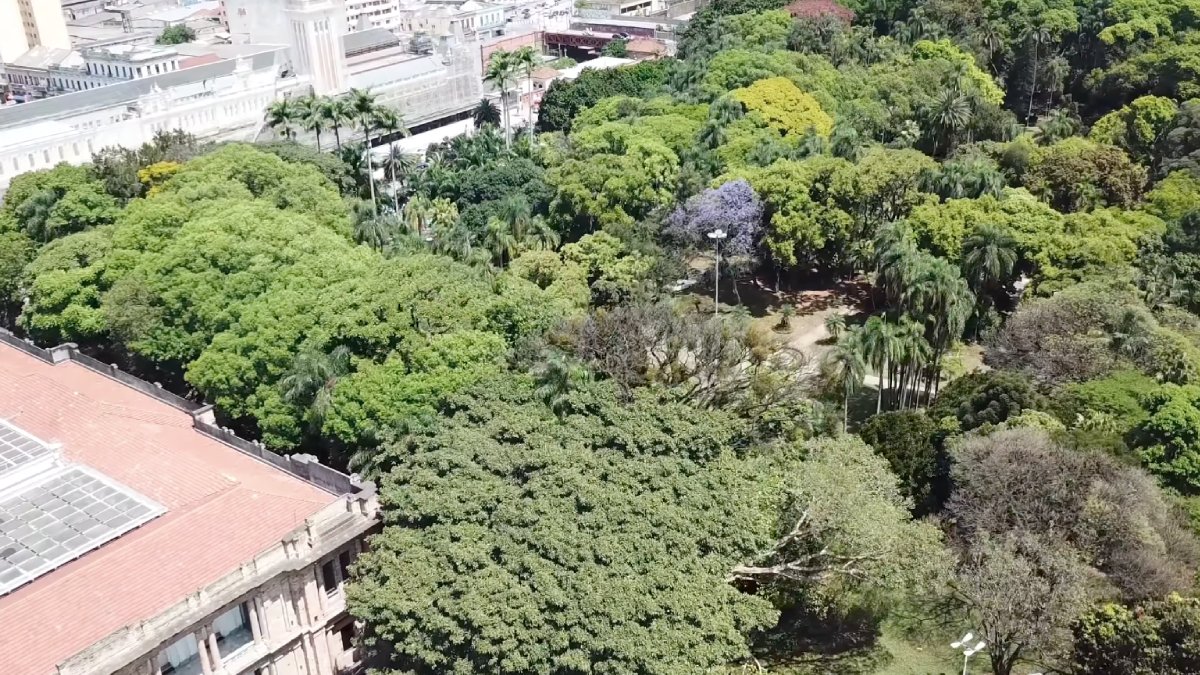 Jardim da Luz (Centro): Considerado o parque público mais antigo do município, ele surgiu como Horto Botânico e foi aberto ao público no século XIX.  