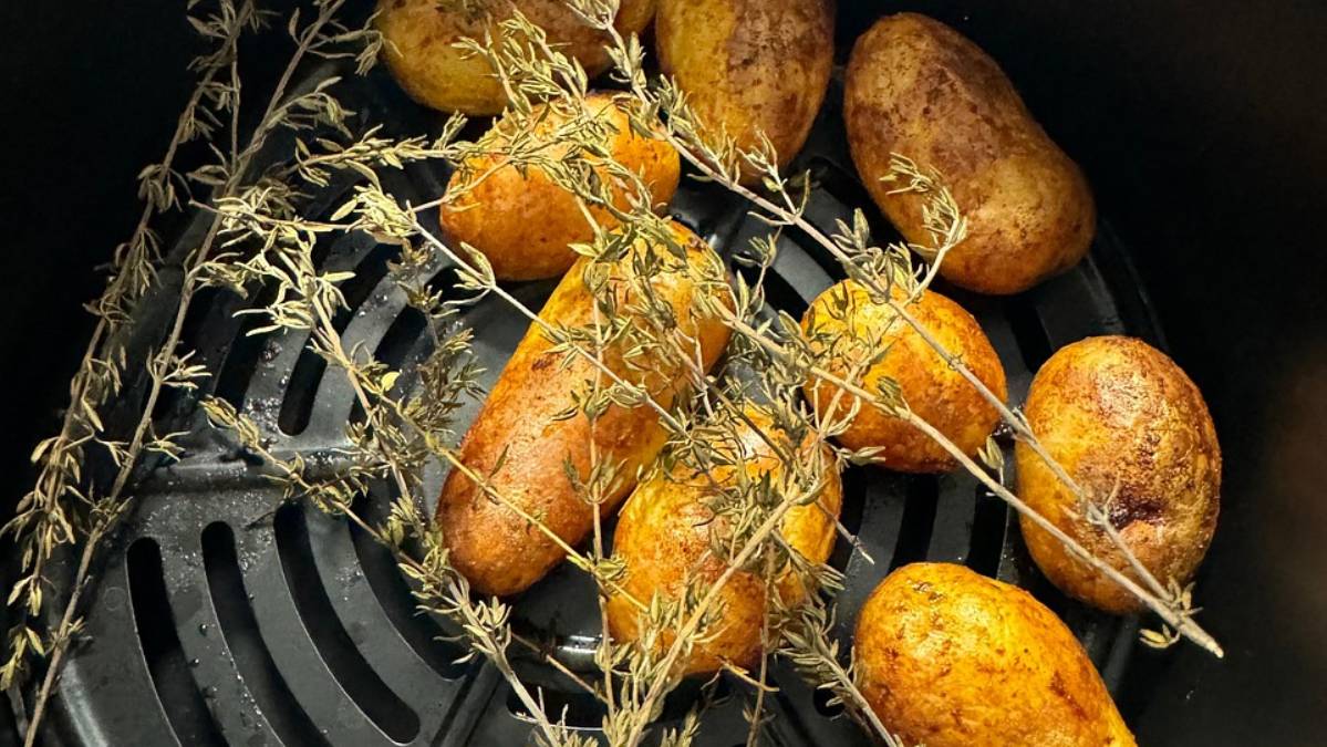 A Air Fryer se tornou o eletrodoméstico oficial da década, mas em 2026 a curiosidade do brasileiro atingiu um novo patamar (Foto: Pixabay)