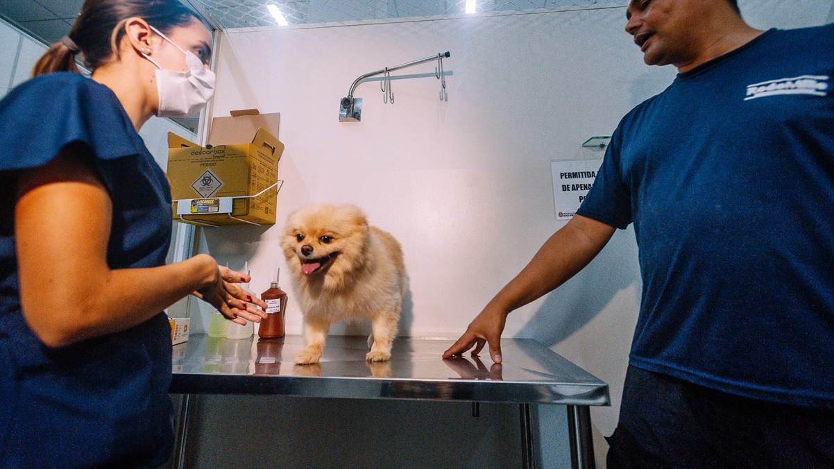 Hospitais veterinários municipais de São Paulo atendem em oito especialidades/Leon Rodrigues/Secom