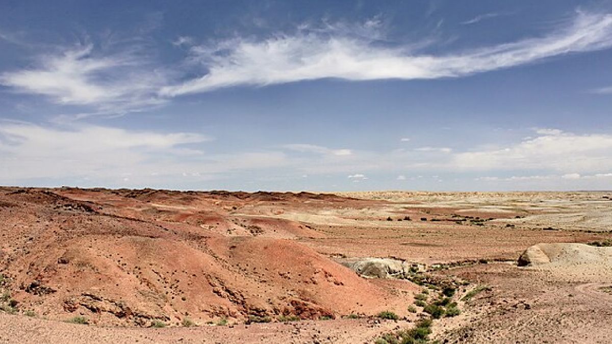 Essas árvores devolviam umidade para a atmosfera pela evapotranspiração, retirando grandes volumes do solo e dos aquíferos (Foto: Marcin Konsek/Wikimedia Commons)
