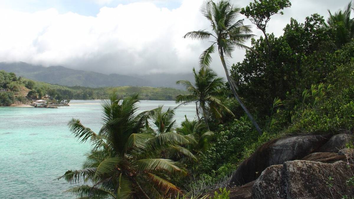 A ilha abriga cerca de 50 a 120 tartarugas-gigantes-de-Aldabra que andam livremente, tornando-se um símbolo local (Foto: Camera Eye from UAE/Wikimedia Commons)
