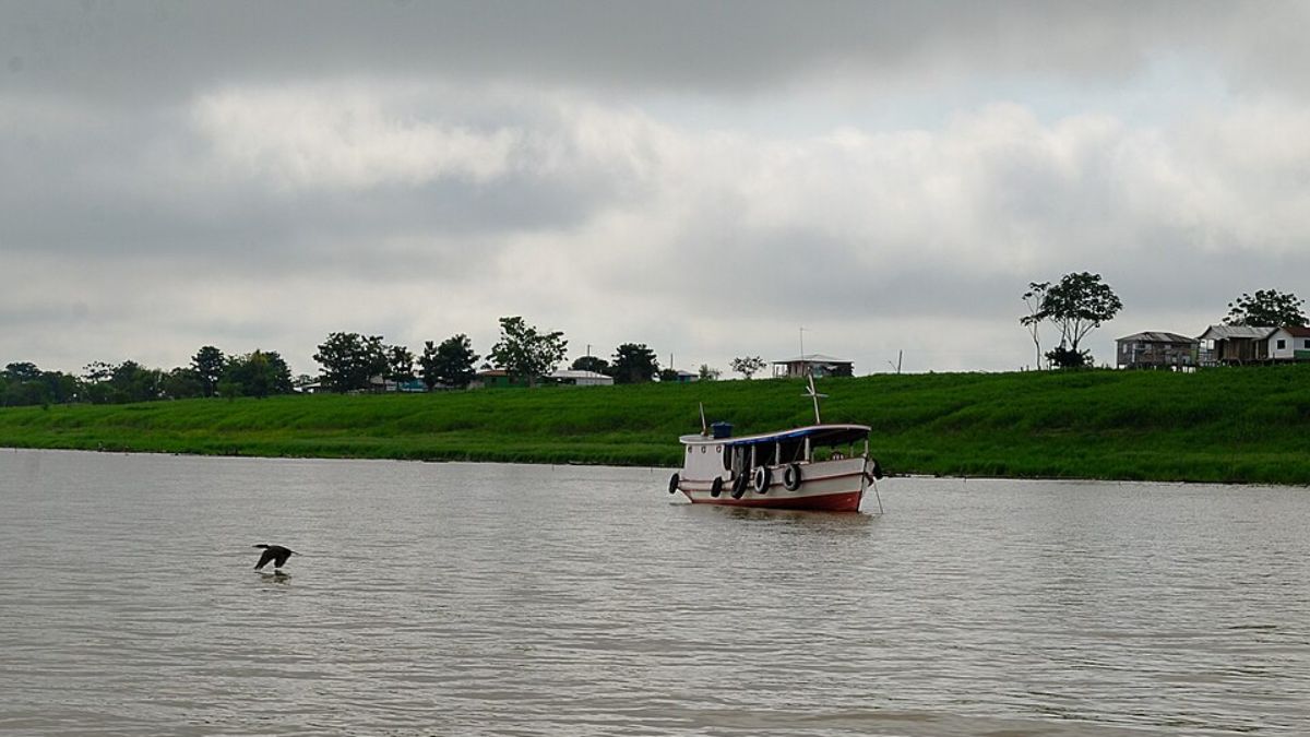 Com a cheia dos rios, a água sobe devagar até entrar pela mata; trilhas somem, praias desaparecem e deslocamentos passam a ser feitos de canoa (Foto: Amazônia Real/Wikimedia Commons