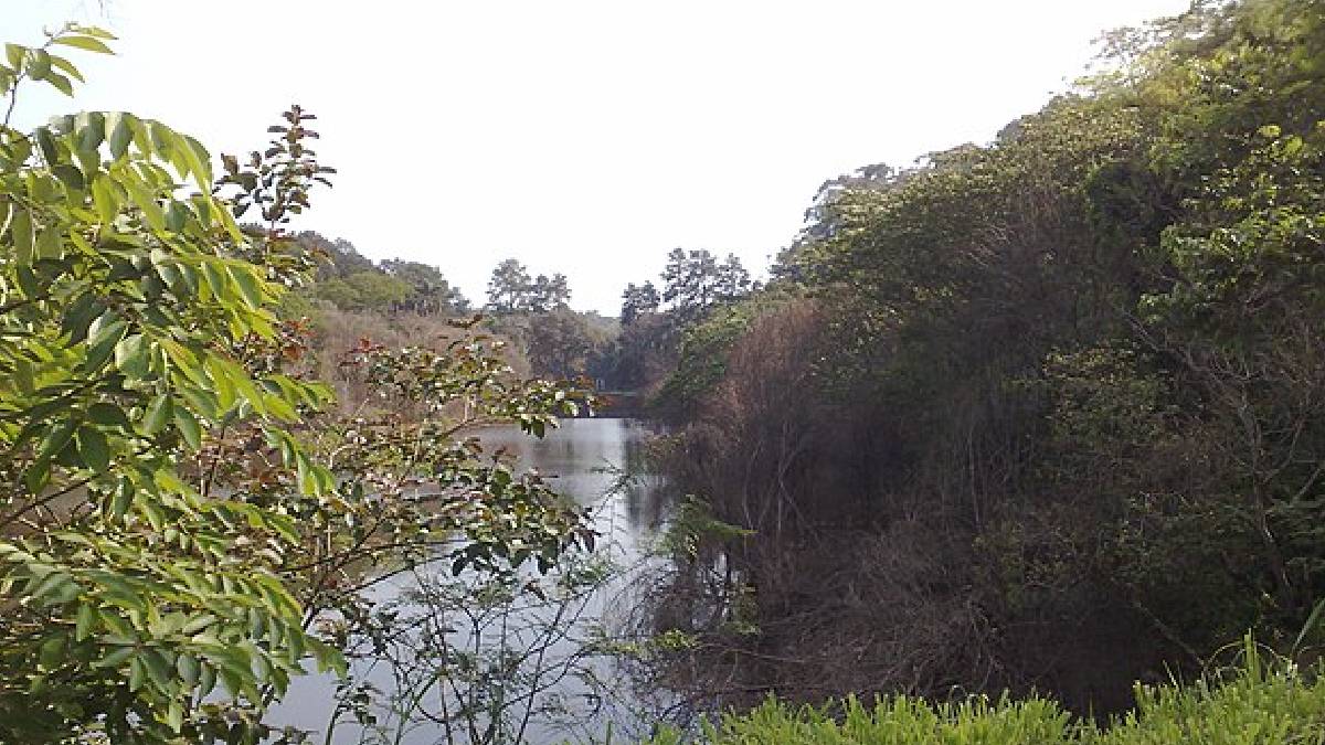 Reservas ambientais e baixa urbanização explicam por que Parelheiros mantém grande cobertura vegetal em seu território. Foto: Wikimedia Commons