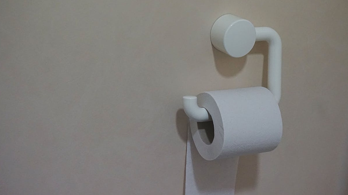 Embora pareça macio ao toque, o papel higiênico possui fibras irregulares que agem como microelementos abrasivos contra o plástico do assento - (Richard Revel/Pexels)