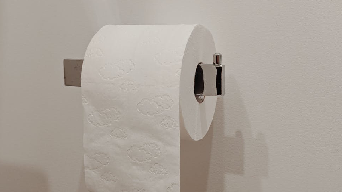 Para manter a higiene sem destruir o patrimônio, a recomendação é substituir o papel higiênico por materiais específicos - (Vie Studio/Pexels)