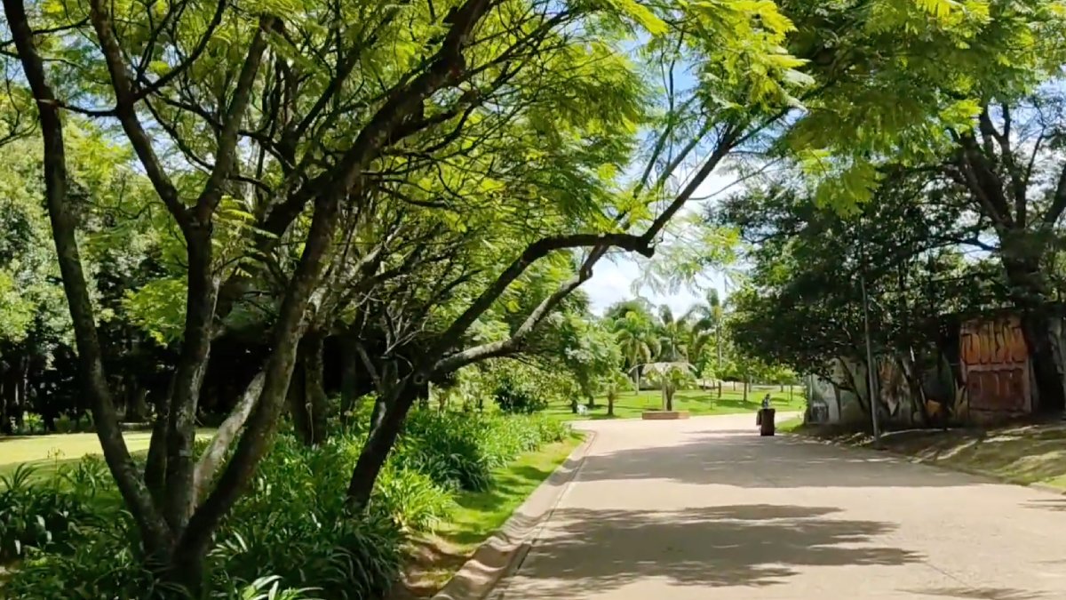Parque do Belém (Zona Leste): O parque integra áreas de lazer com equipamentos como a Fábrica de Cultura do Belém e a Etec, formando um polo de atividades no bairro.  