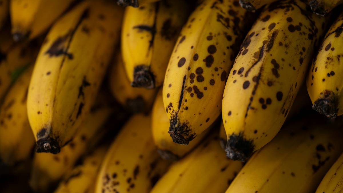 Quanto mais madura a banana, mais doce e macio fica o bolo, o segredo está no ponto da fruta. Foto: Pexels