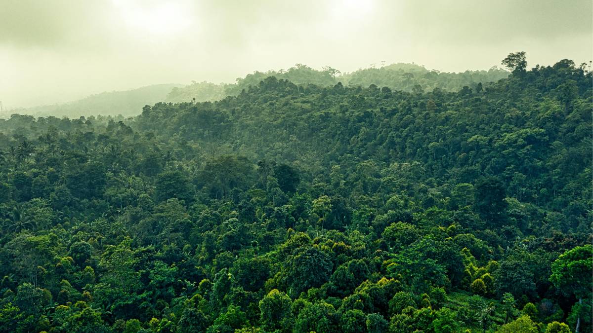 Que pode redefinir o debate sobre segurança hídrica no planeta: o Sistema Aquífero Grande Amazônia (SAGA)(Foto: Pexels)