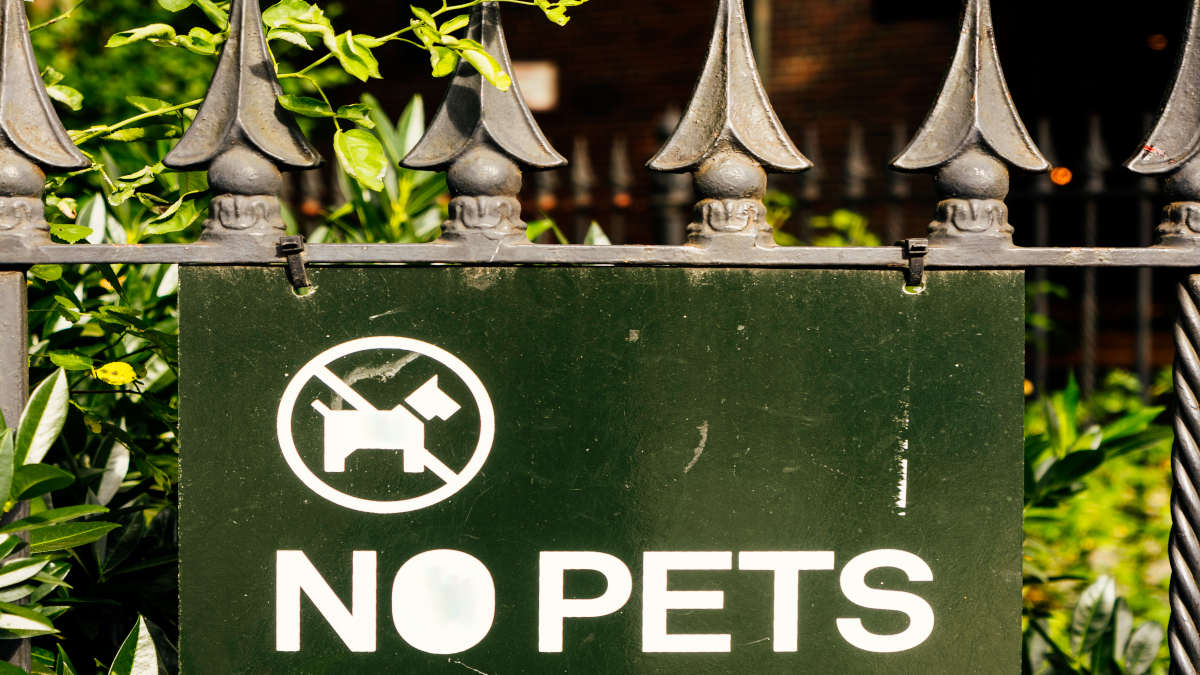 Restrições em parques estaduais como a Cantareira visam proteger a fauna silvestre de doenças e estresse. Foto: Freepik
