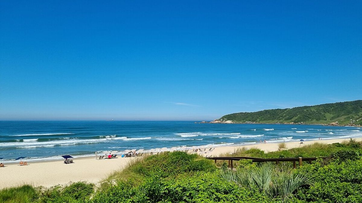 Dividida entre Rosa Norte e Rosa Sul, a faixa de areia oferece experiências distintas. No Rosa Norte, o ambiente é mais rústico, com ondas fortes e trilhas que levam a mirantes e piscinas naturais. É ponto frequente de surfistas e praticantes de altinha.