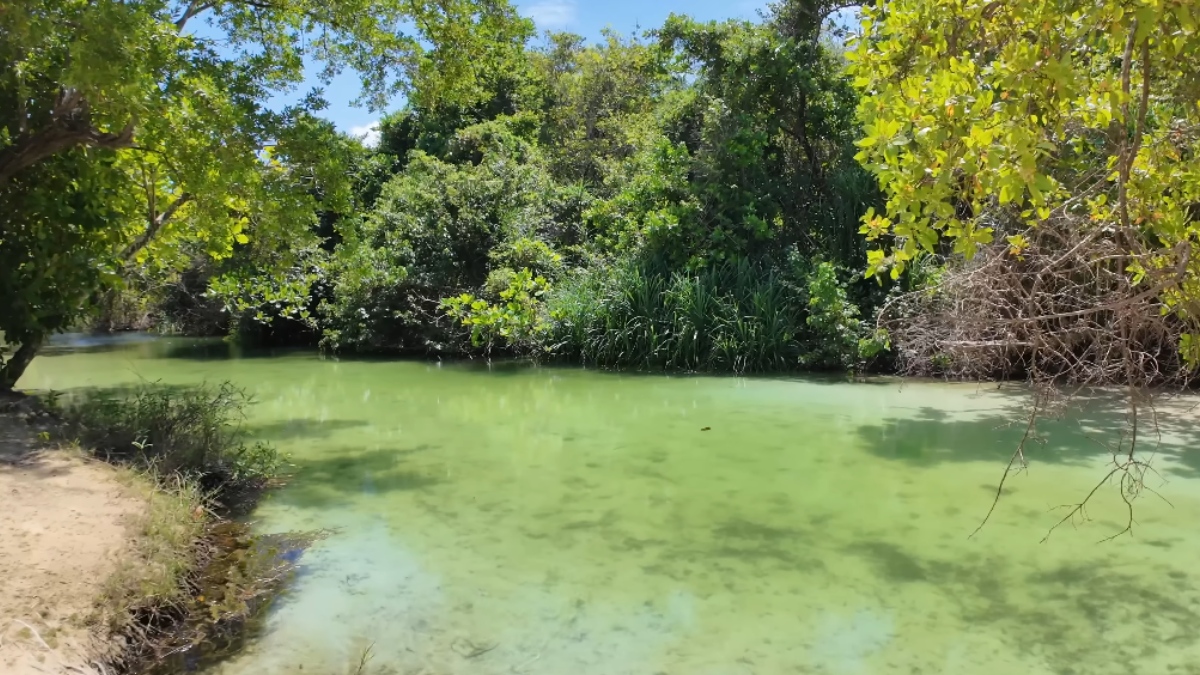 Atualmente, existem pelo menos cinco ações na Justiça para garantir o acesso a pontos icônicos, como a Lagoa Azul e a praia Bob Marley, um local historicamente ligado a comunidades rastafári.