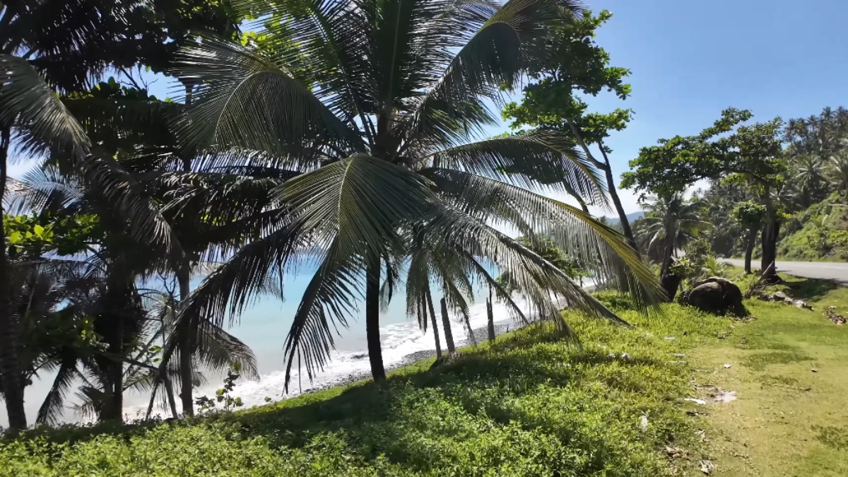 Em locais onde o acesso ainda é possível, como na própria baía de Mammee, moradores chegam a pagar cerca de US$ 7,60 (R$ 41) para entrar na praia por meio de estabelecimentos privados.