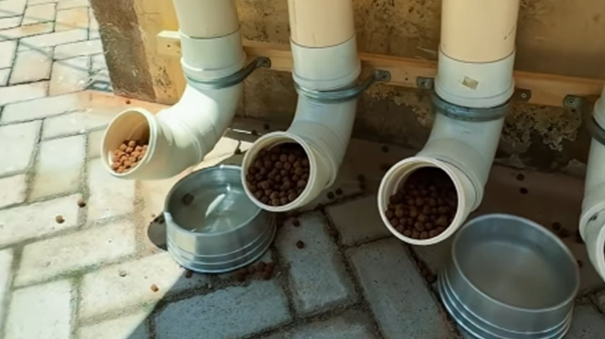 Espaço inaugurado pelo senador para animais/Reprodução