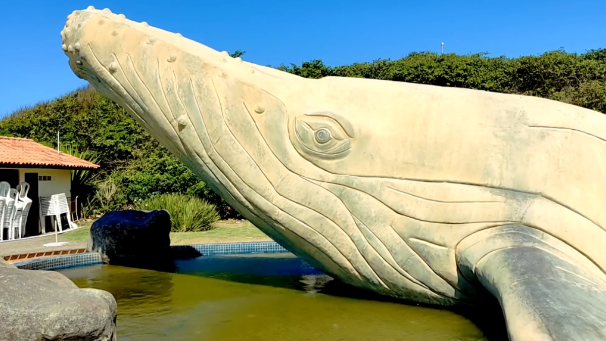 O local abriga uma escultura de uma baleia-jubarte com 20 metros de extensão, feita de bronze e latão pelo artista Roberto Sá.