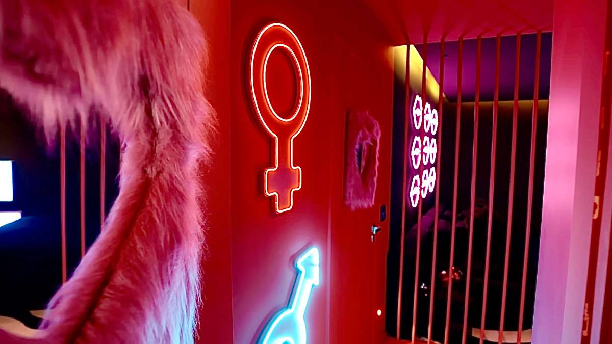 21. A imensa sala de TV e seu "sofazão" são o ponto de encontro favorito da família e dos cachorrinhos de Anitta. Foto: Reprodução/Youtube