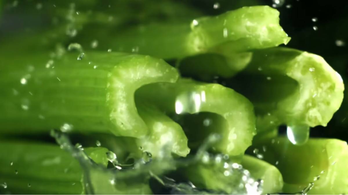 O salsão é muito rico em água e pode ajudar na sensação de leveza. Foto; Reprodução/Youtube