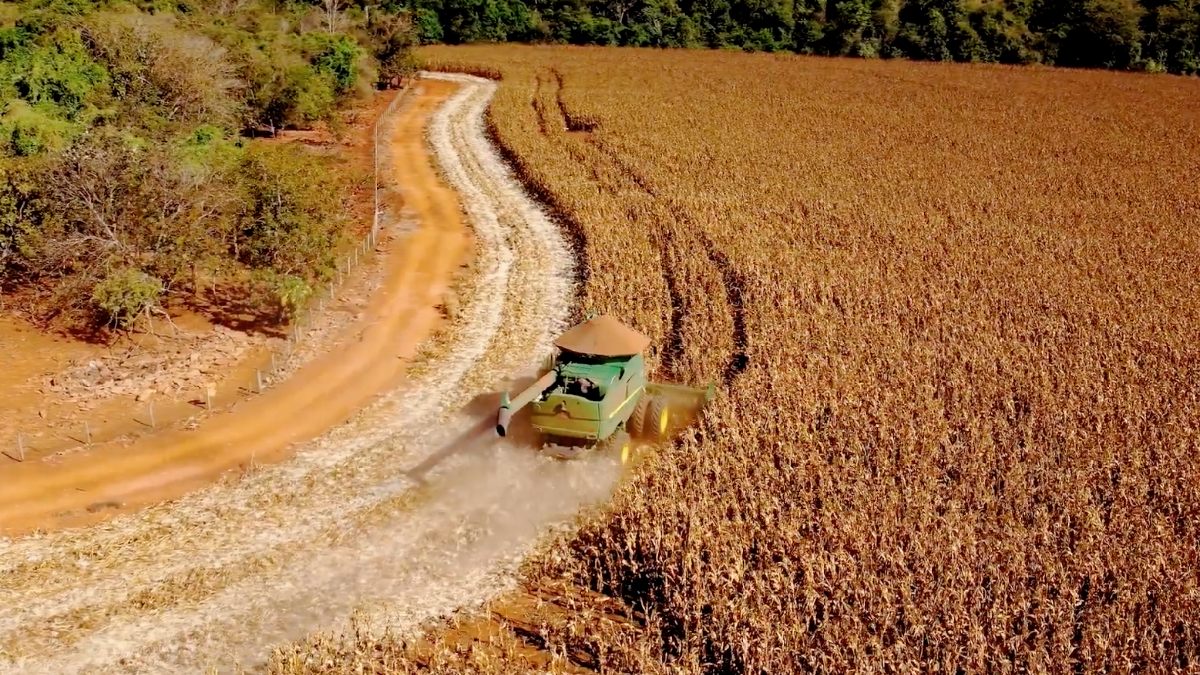 3. Fazendas que adotaram o manejo regenerativo eliminaram o uso de fungicidas e registraram economia acumulada de milhões de reais em poucos anos. Foto: Reprodução/Youtube
