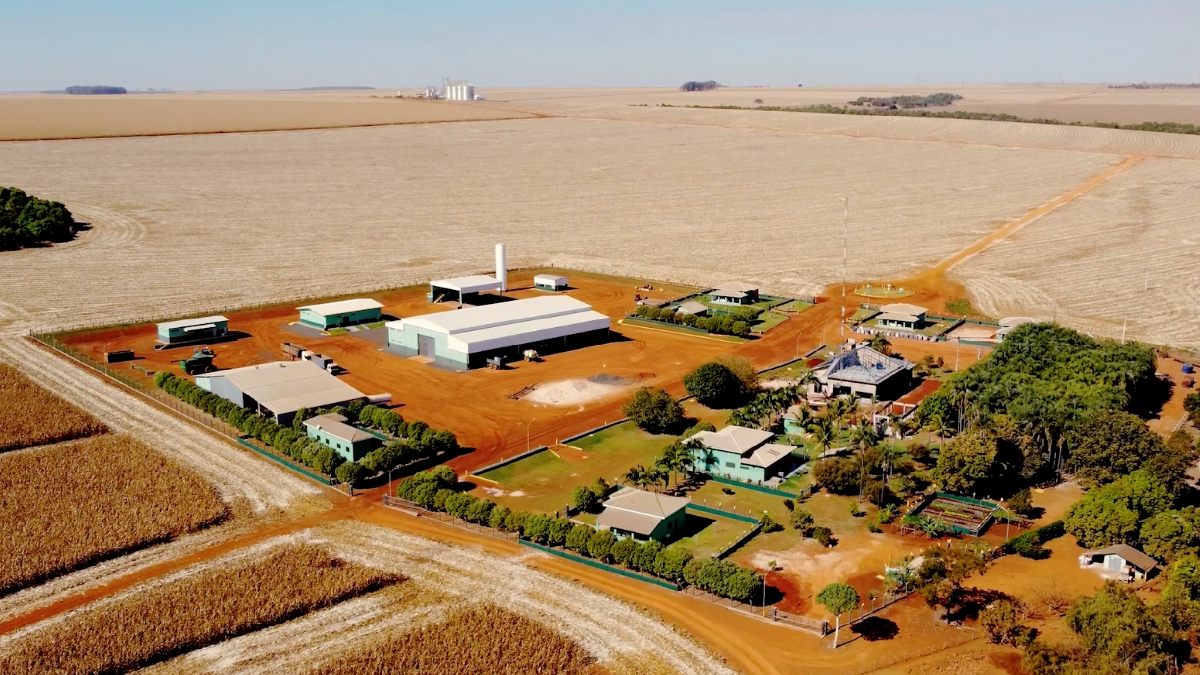 1. Técnica de agricultura regenerativa usa plantas de cobertura e bioinsumos para devolver vida ao solo degradado e aumentar a lucratividade da propriedade. Foto: Reprodução/Youtube