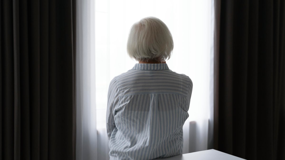 Durante o descanso, o cérebro revisa experiências recentes para consolidar lembranças importantes no hipocampo