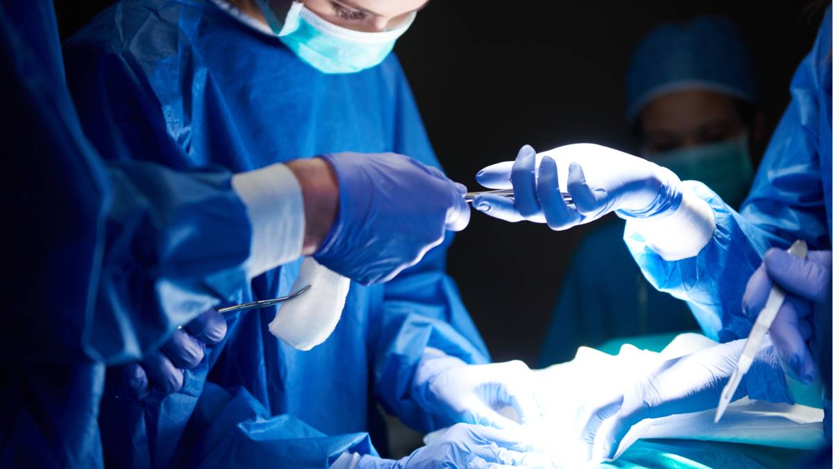 O xenotransplante, como é conhecido o transplante de órgãos entre espécies diferentes, deixou de ser apenas tema de ficção científica e passou a ocupar espaço real nos centros de pesquisa médica