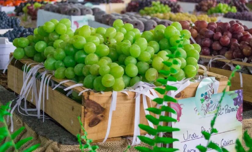 Conhecida como a 'Capital da Uva', Vinhedo se consolidou como um refúgio de alto padrão que une gastronomia europeia - (Divulgação/Prefeitura de Vinhedo)