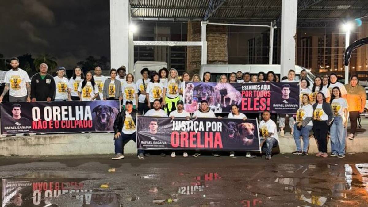 Estudos apontam que filhotes e crianças tendem a gerar níveis semelhantes de empatia em parte dos participantes. Foto: Divulgação