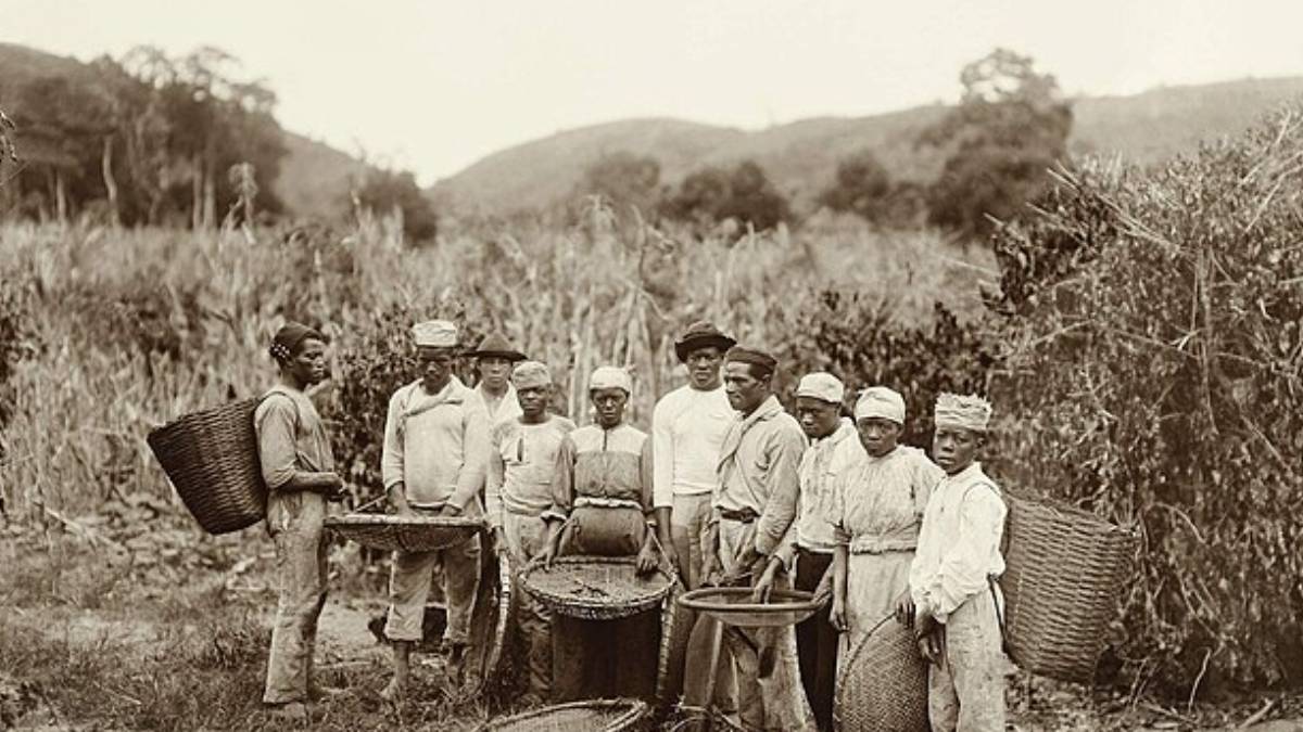Fundado em 1881, ainda nos últimos anos do Brasil escravocrata, o restaurante atravessou um período de profundas transformações sociais e históricas no país. Reprodução: Wikimedia Commons