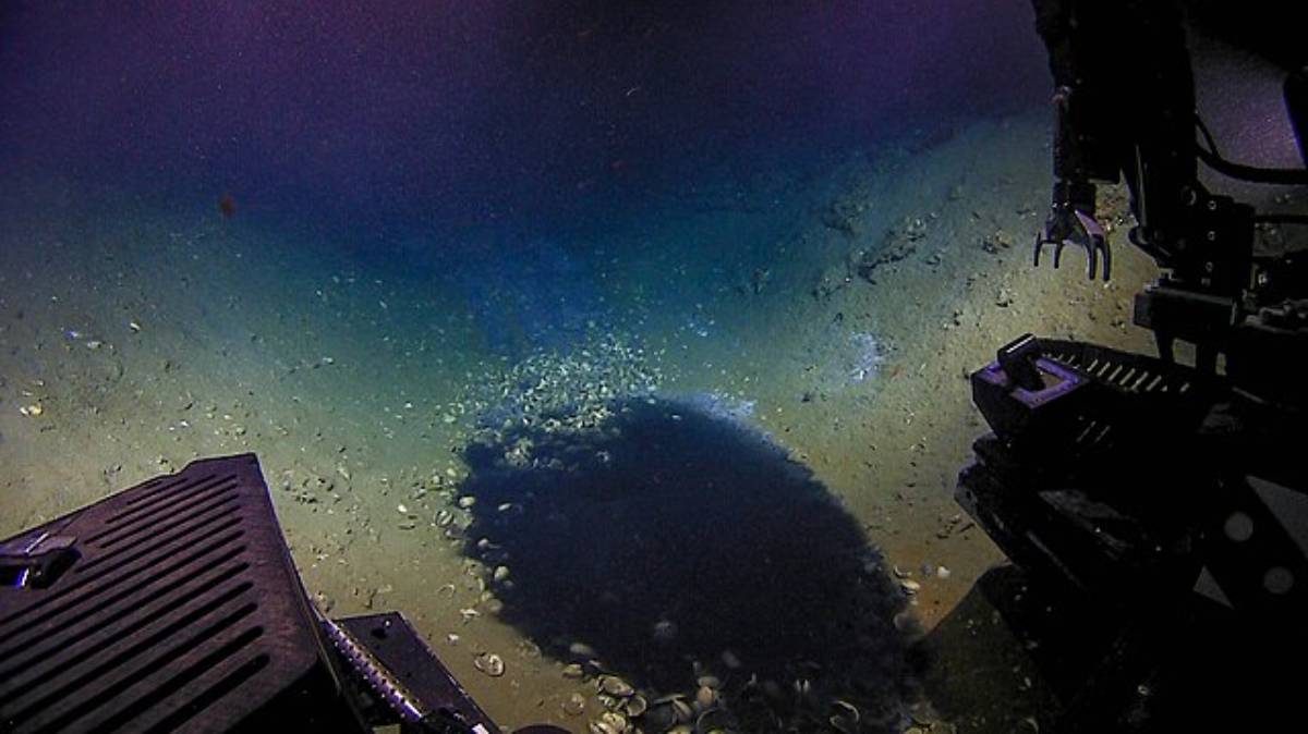 Parece cena de ficção científica, mas esse fenômeno é real, e vem chamando a atenção de pesquisadores do mundo todo (Foto: NOAA Office of Ocean Exploration and Research/ Wikimedia Commons)