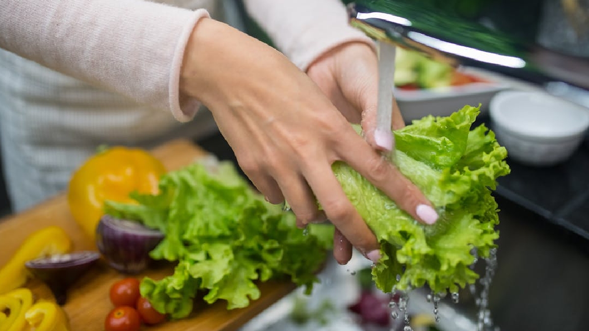 Lavar a alface mantendo a segurança alimentar da sua família sem abrir mão da saúde - (Kampus Production/Pexels)
