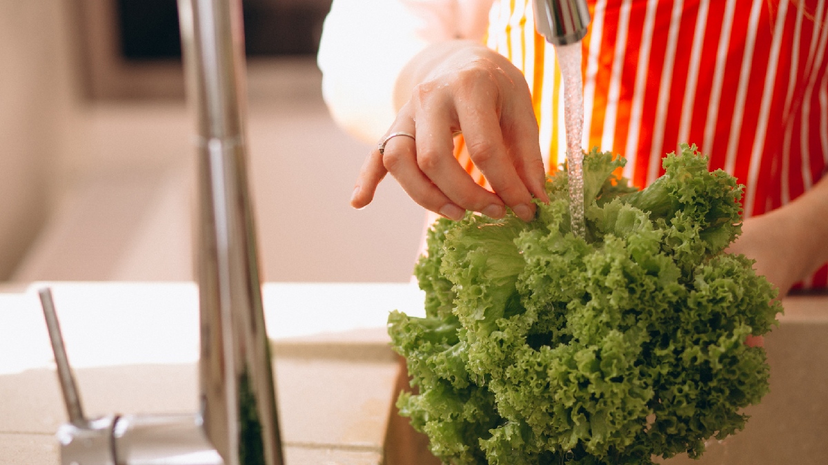 Grande desafio é realizar essa limpeza sem comprometer os nutrientes sensíveis da planta - (Senivpetro/Freepik)