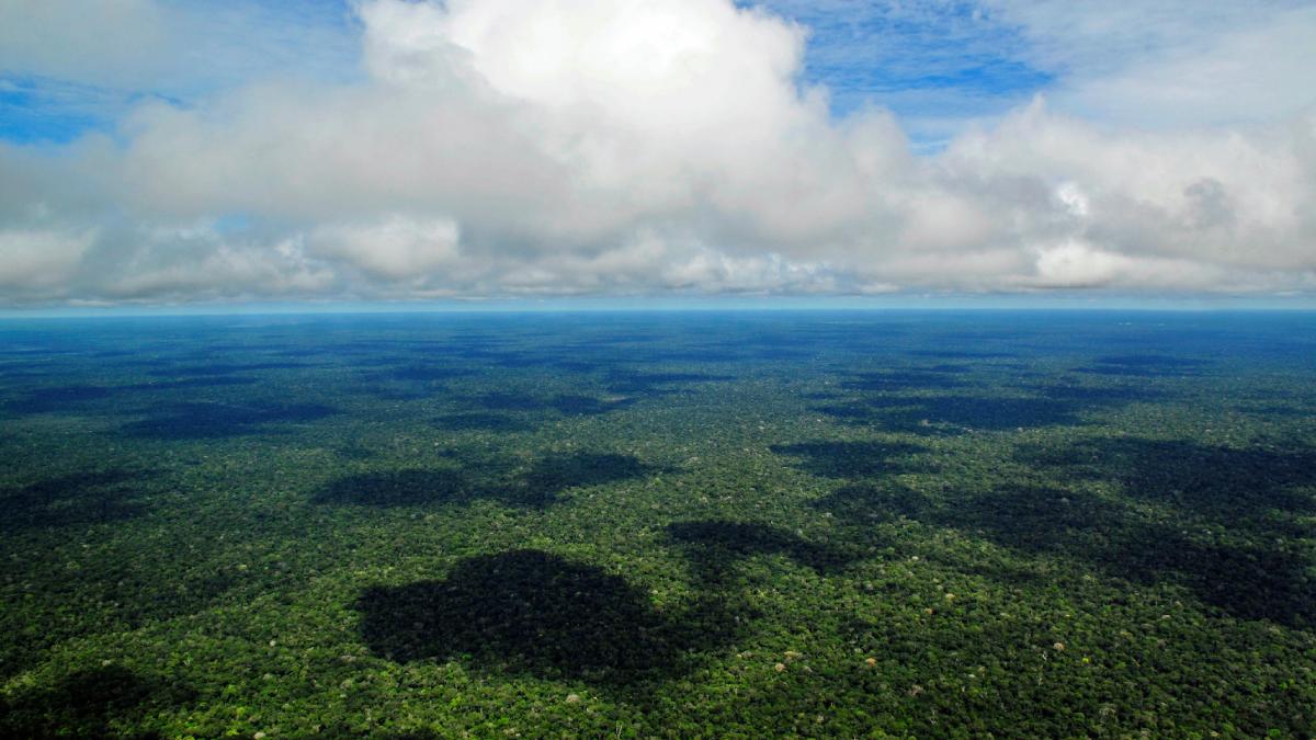 Essa descoberta muda o jogo. A ideia de uma Amazônia "intocada" ou "selvagem" antes da colonização cai por terra. O que os dados nos mostram é um cenário de ocupação intensa e inteligente. (Foto: Wikimedia Commons)